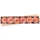 Virág Pünkösdirózsa, Levéllel, Barack, Szár, csomag 6 db