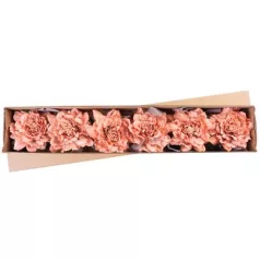   Virág Pünkösdirózsa, Levéllel, Barack, Szár, csomag 6 db