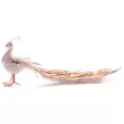 Páva Magichome, Arany, 34x12x15 cm, Pehely