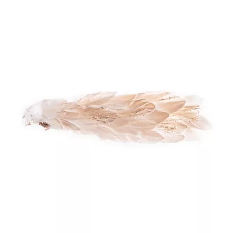 Páva Magichome, Arany, 34x12x15 cm, Pehely