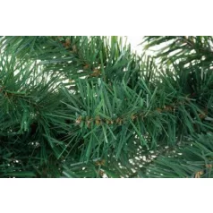 MagicHome karácsonyi füzér, 270 cm, 200 ág