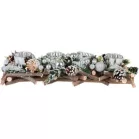 Ikebana MagicHome Karácsony, fa, ezüst, adventi, 40x14x8 cm