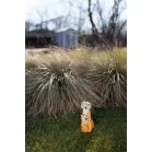 Dekoráció Strend Pro Garden, szurikáták, szolár, 4xLED, 12x11x27,5 cm