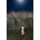 Dekoráció Strend Pro Garden, szurikáták, szolár, 4xLED, 12x11x27,5 cm