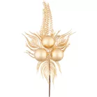 MagicHome karácsonyi gally, pávatollas, arany, 22 cm